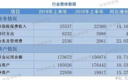 中国财险20保费收入（中国保险保费收入）