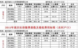 新建立公司社保费率（新公司的社保缴费基数）