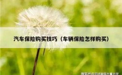 车险的不足额投保（不足额投保怎么理赔）