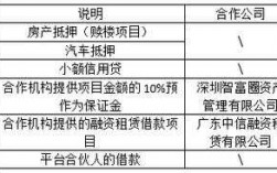 融资担保费现金流（融资担保费入在什么科目）