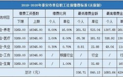 2016泰安保费收入（泰安政府保险）