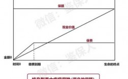 现金价值会超过保费吗（如何解释现金价值低于保费）