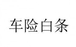 哪个车险能用白条支付（在哪些平台买车险能用白条）