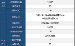 人保健康百万安行缺点