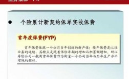 标准保费FYP（标准保费FYP）