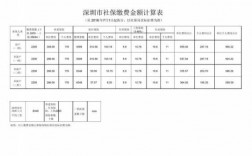 预付社保费用计入（预付社保费用计入什么科目）