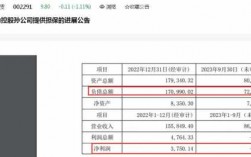 国有企业担保费收入（国企担保限额）