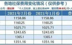 社保费收入增长为（社保费增收原因分析）