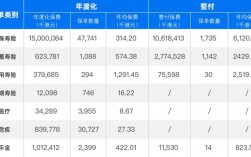 神州保费5万