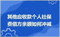 社保费冲减其他应付款