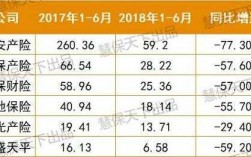 电销车险年度报告