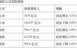 什么事原保险保费收入（保险公司原保费收入是什么意思）