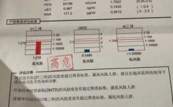 车险飞单