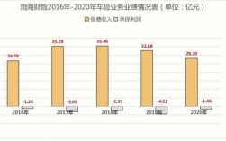 2013年总保费（2013年保险年报）