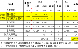 社保费统筹（社保费统筹部分）