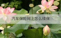 报车险后怎么撤销（报车险后怎么撤销保险）