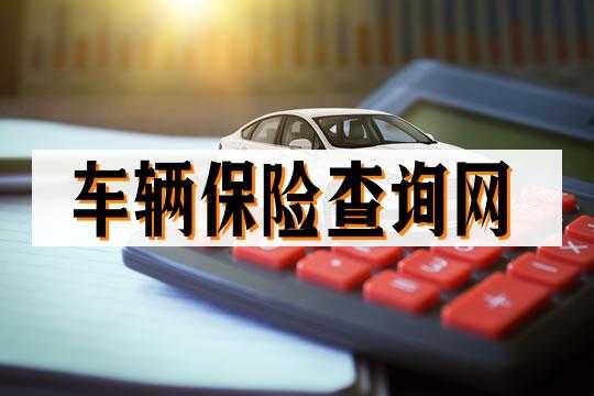 怎么查去年车险（怎么查去年车险交了多少钱）-图2