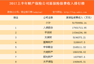 2017前5个月保费（保险2017年上半年）-图1