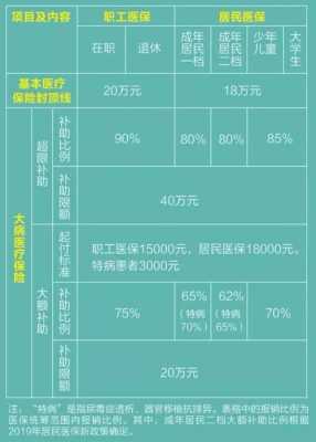 医保大病险保费（医保里的大病险报销多少）-图1