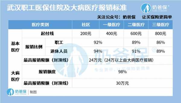 医保大病险保费（医保里的大病险报销多少）-图2