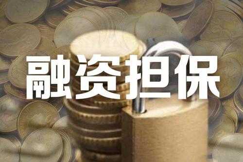 融资担保保费（融资担保费收取标准）-图1