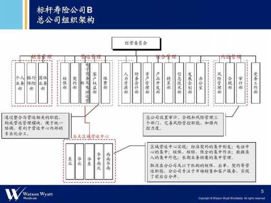 中国人保集团组织架构（人保集团公司架构）-图2