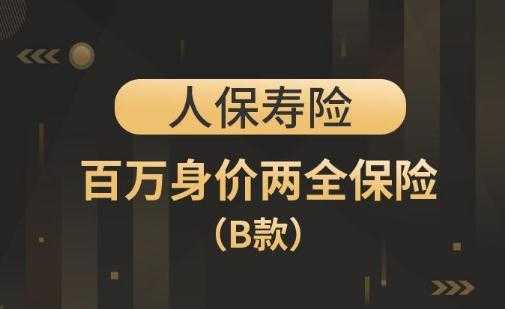 人保百万身价两全保险（人保百万身价两全保险满期返还）-图3