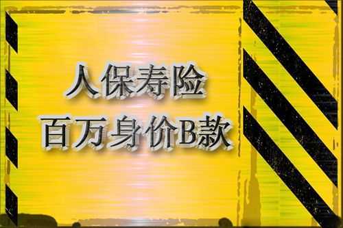 人保百万身价两全保险（人保百万身价两全保险满期返还）-图1