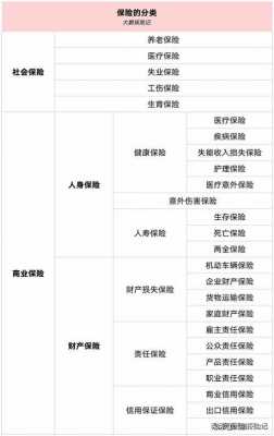 买哪种个人保险最划算（个人保险哪种好）-图3