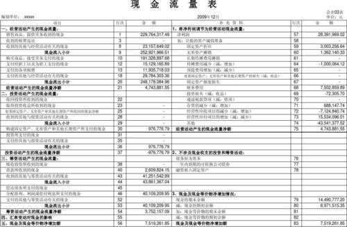 支付的社保费现金流（支付的社保费现金流量表怎么填）-图1