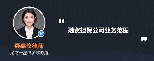 公司担保可收取担保费（担保公司收取担保费计入什么科目）-图3