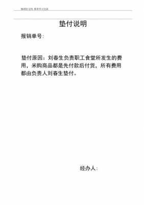 垫付保费委托说明书（垫付保费委托说明书怎么写）-图1