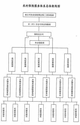 人保股东结构（人保股东结构是什么）-图3