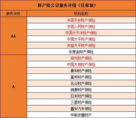 人寿保险车险全险项目（人寿保险车险全险项目是什么）-图3