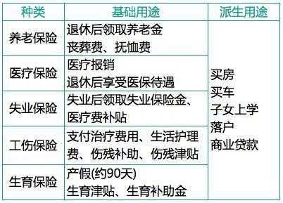 社会保险保费的特点（社会保险的特点有）-图3