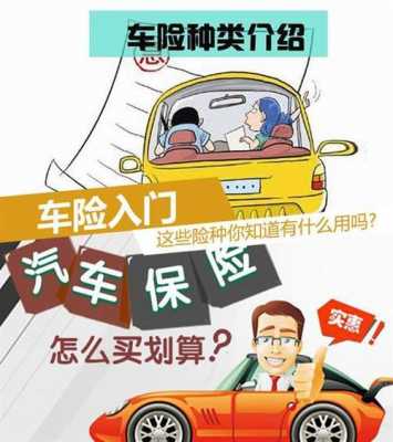 车险的保障（车险的保障项目需要买吗）-图2