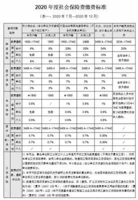 有限公司每年社保费用（公司一年社保要交多少钱）-图3