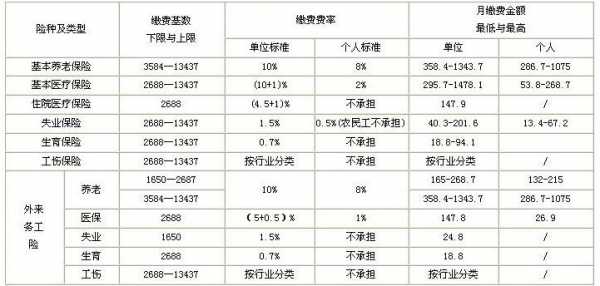 社保费一年交多少钱（社保一年大概交多少钱）-图1