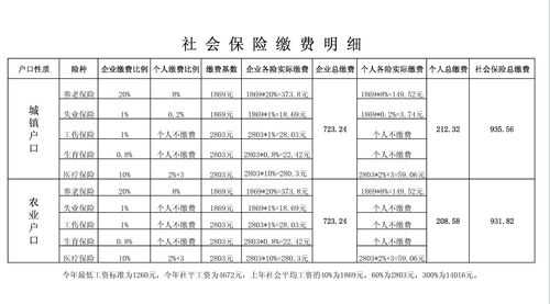 社保费一年交多少钱（社保一年大概交多少钱）-图3