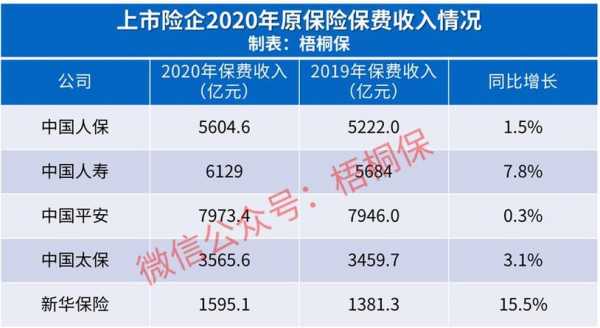 我国现今有哪些保费（我国的保险有哪些种类）-图3