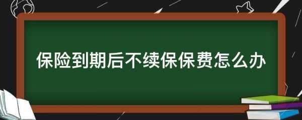 次交保费（保险次年续保怎么交费）-图3