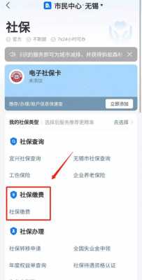 支付宝可以交社保费吗（支付宝上可以交社保费吗）-图1