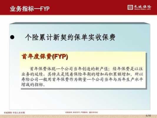 标准保费FYP（标准保费FYP）-图1