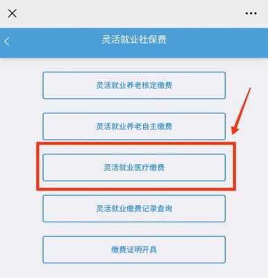 灵活就业医保费怎么交（灵活就业人员缴医保怎么交）-图1