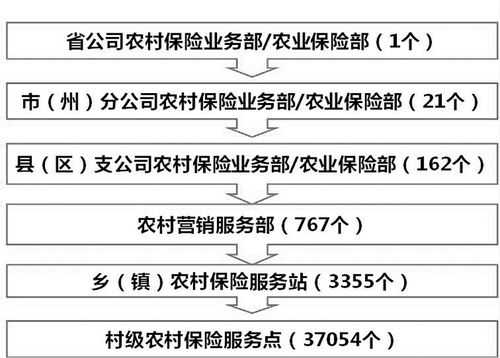 人保农网机构职能（人保农网管理办法）-图1