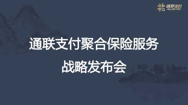 通联支付保费（通联支付费用）-图2