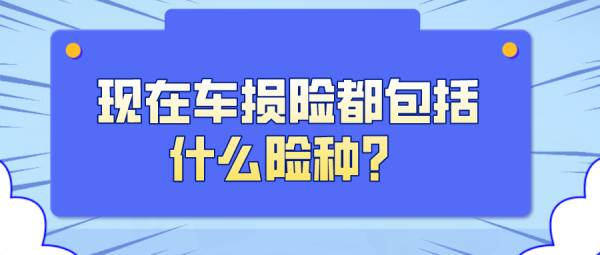 车损险和哪些连在一起的（车损险都是一样的吗）-图3