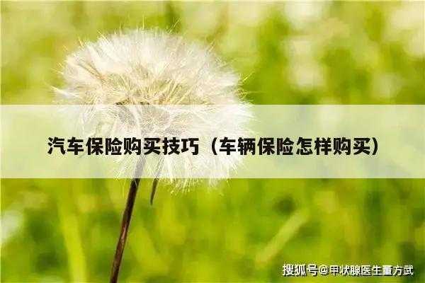 车险超期能享受优惠了（车险超期买会怎样）-图3