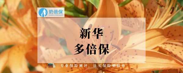 新华多倍保退保费（新华保险多倍保一年想退保）-图2