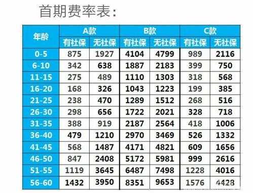 月保费0.32%（月保费率12是什么意思）-图3